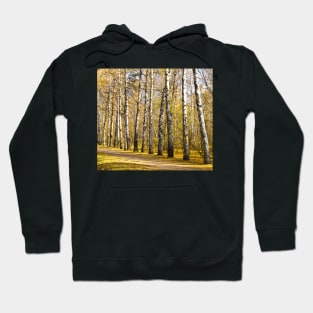 Birch alley in autumn Hoodie